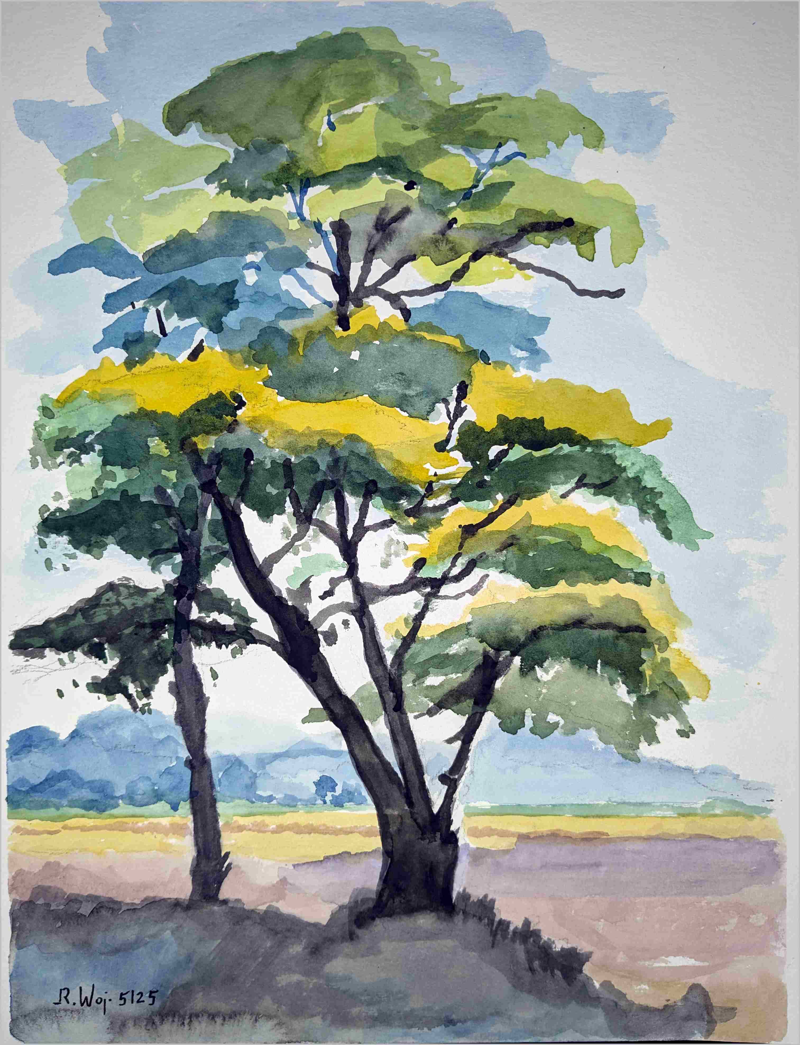   Baum vor Landschaft